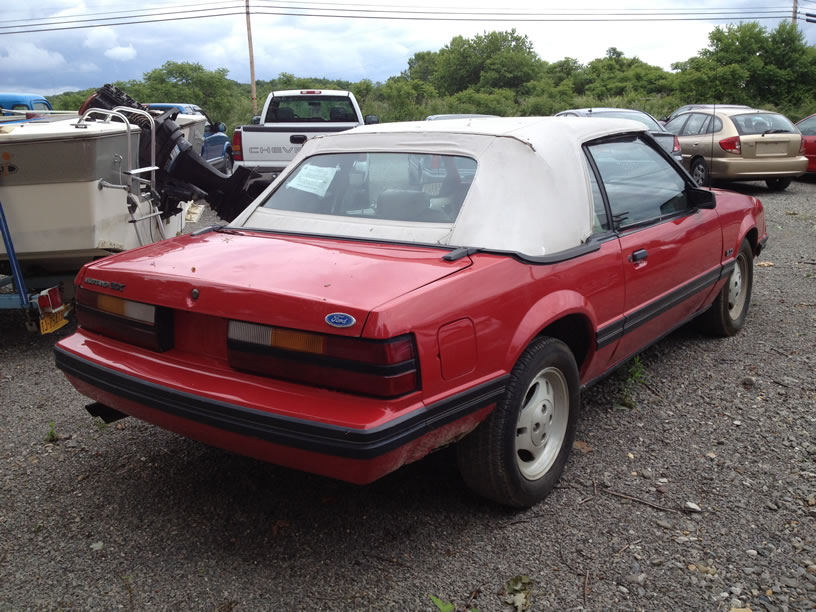 1983 MUSTANG FOR SALE